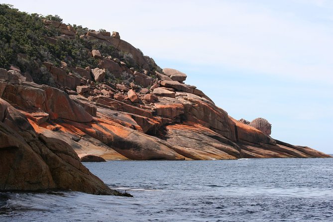 Wineglass Bay Cruise from Coles Bay - The lunch choice and onboard comfort