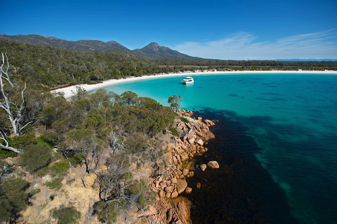 Wineglass Bay Cruise from Coles Bay - Who will get the most from this cruise