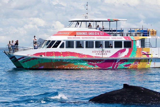 World class Whale Watching from Hervey Bay - Is $86.07 good value?