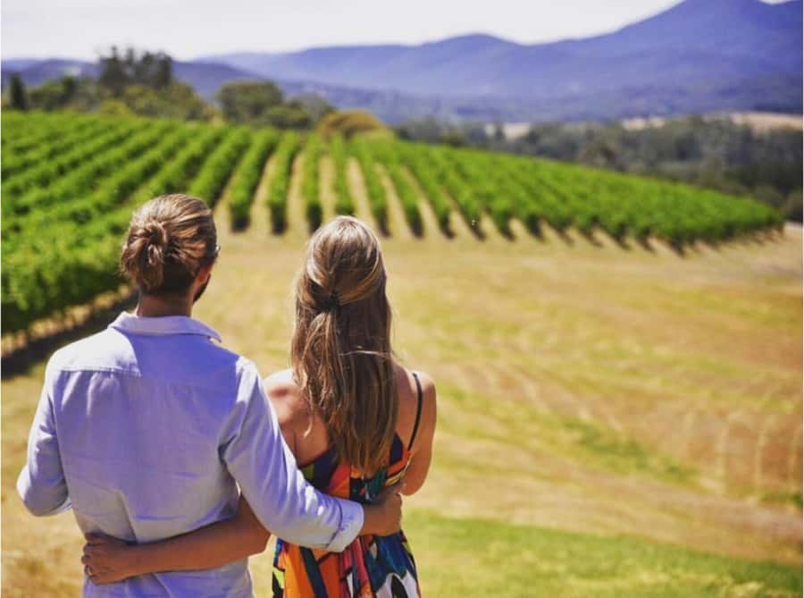 Yarra Valley Foodies Tour with Chandon and Kangaroo Safari! - Domaine Chandon brings the best views and sparkling wine