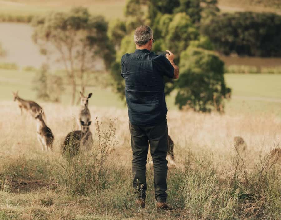 Yarra Valley Foodies Tour with Chandon and Kangaroo Safari! - Yering Station adds serious wine interest