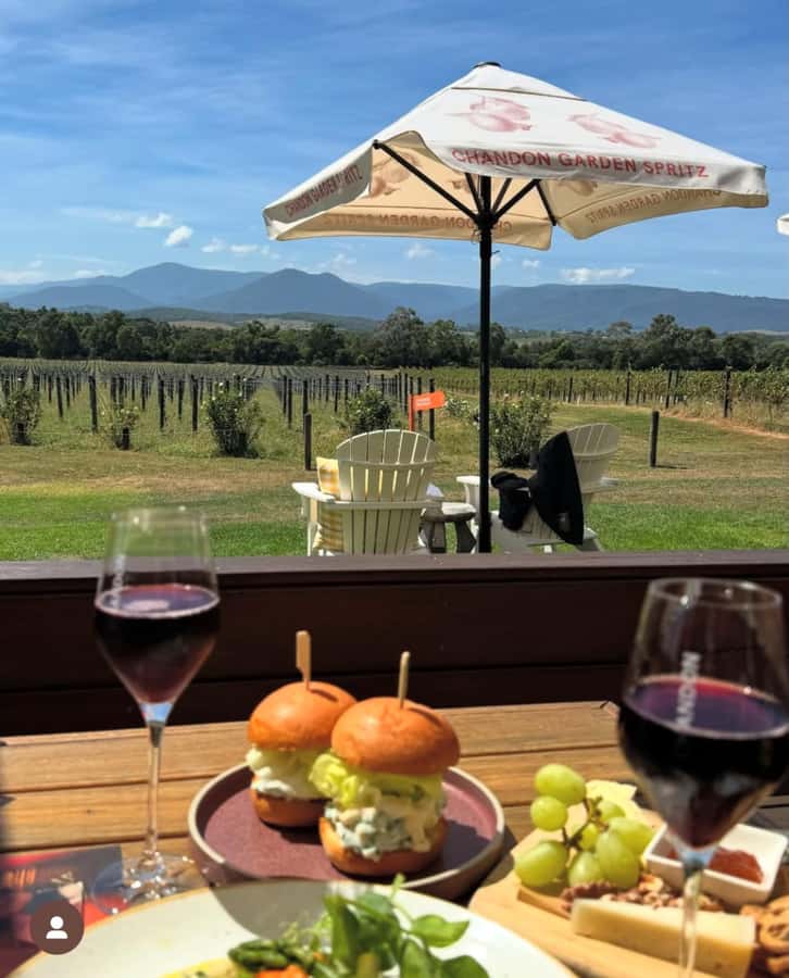 Yarra Valley Foodies Tour with Chandon and Kangaroo Safari! - The kangaroo safari is the payoff