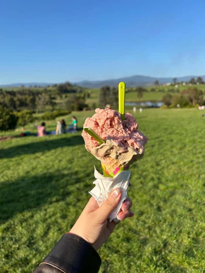 Yarra Valley Foodies Tour with Chandon and Kangaroo Safari! - What the $123 price really covers