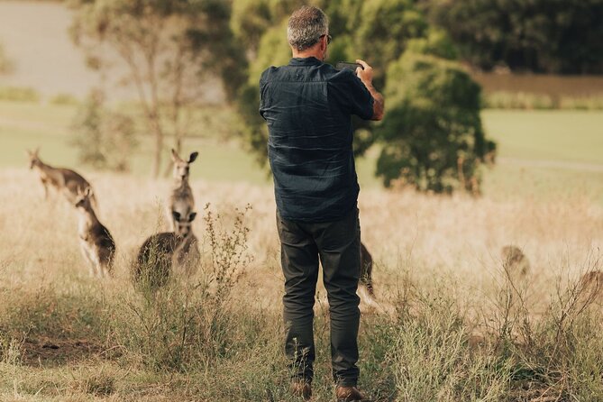 Yarra Valley Foodies Tour with Chandon & Kangaroo Safari! - Guides make the small-group format count
