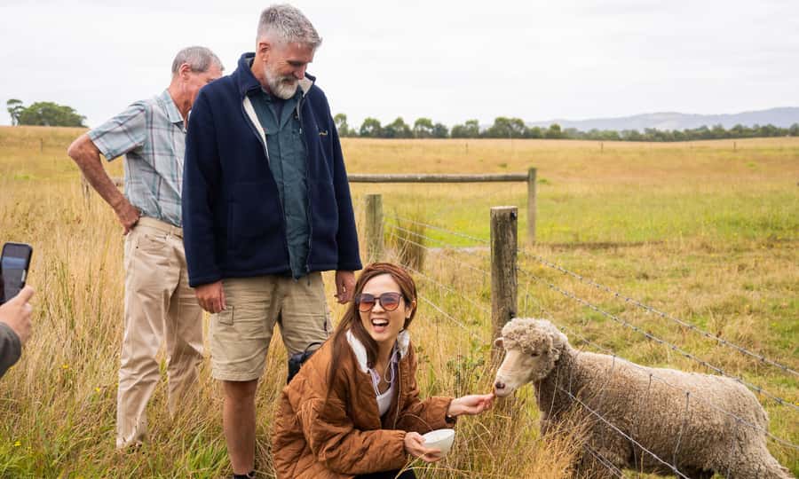 Yarra Valley Full Day Grazing Tour: Gin, Wine, Pizza, Cheese - How the group size affects your day