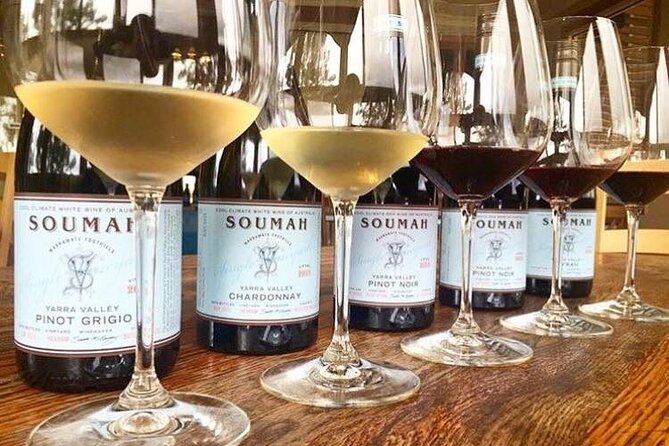 Yarra Valley Half-Day Winery Tour from Melbourne - Helen & Joey Estate: views with the first tasting