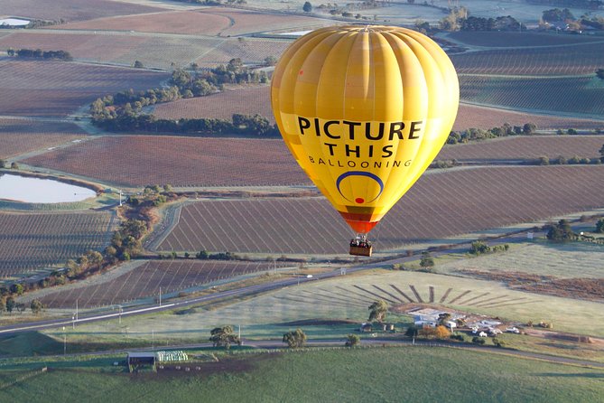 Yarra Valley sunrise balloon flight & champagne breakfast - What the flight itself is likely to feel like