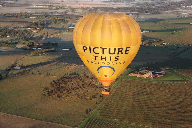Yarra Valley sunrise balloon flight & champagne breakfast - Is $336.39 a fair price?