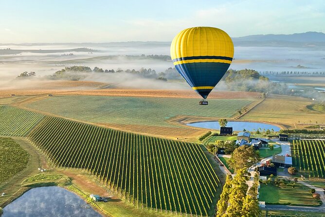 Yarra Valley Sunrise Balloon Flight with GoPro Photos - One hour above vineyards, farms, and fog