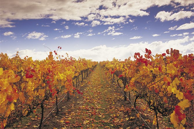 Yarra Valley Wildlife & Wine Day Tour with Healesville Sanctuary - Who should book this experience?