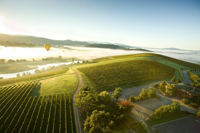 Yarra Valley Wine Day Tour - Yering Station brings the best lunch break