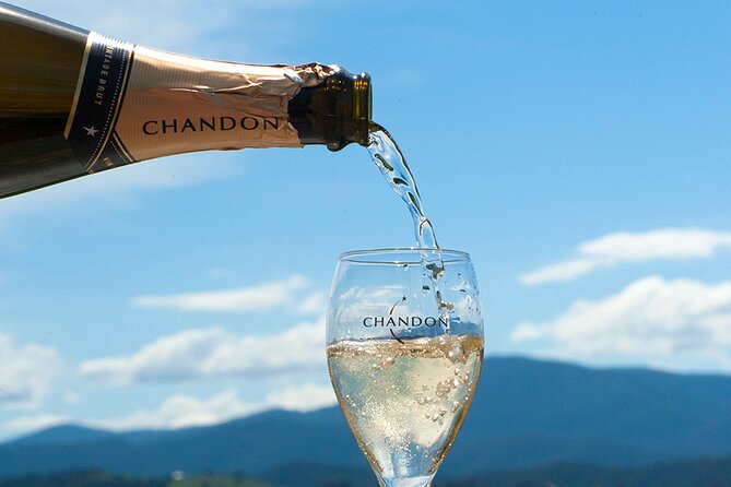 Yarra Valley Winery Tour from Melbourne - Lunch included - Who will enjoy this day most?