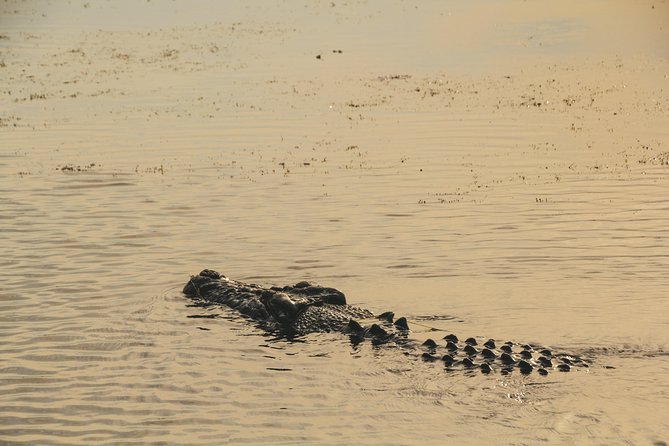 Yellow Water Cruise - Kakadu - Comfort, access, and group size