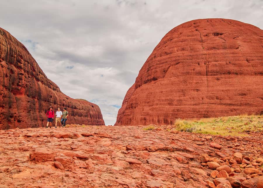 Yulara: Uluru Sunrise and Kata Tjuta Day Trip by Bus - Should you book the Uluru sunrise and Kata Tjuta tour?